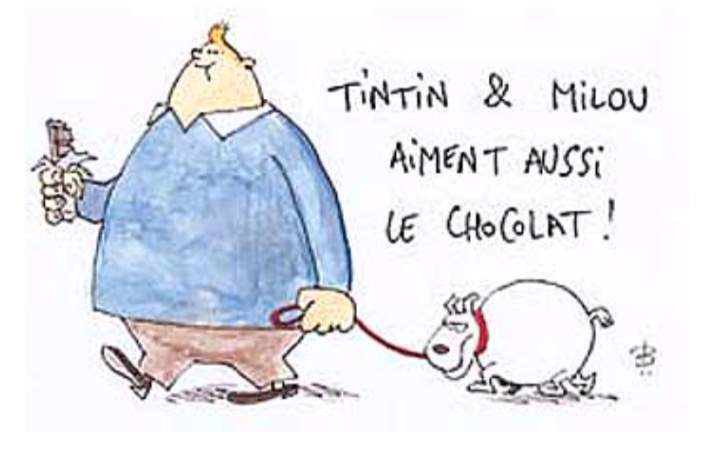 Tintin a grossi