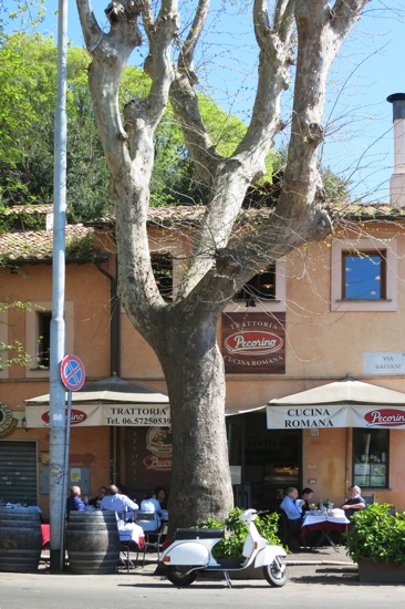 Testaccio, 14 aprile 2013