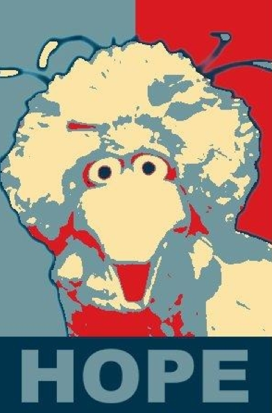 Big Bird: HOPE (affiche similaire à celle d’Obama en 2008, le portrait solarisé de Big Bird remplaçant celui d’Obama)