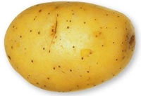 Pomme de terre